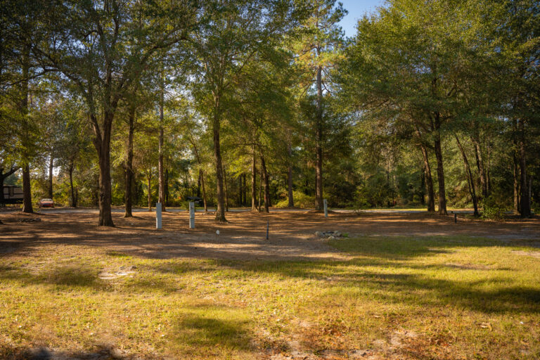 Spacious, shady RV space with full hookup. Located outside of Augusta, Georgia, in Waynesboro, Georgia. Family-friendly, quiet, long-term rentals are available.